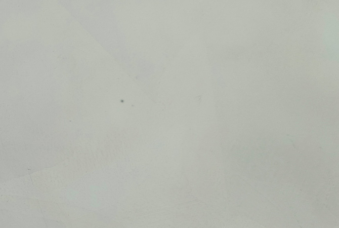 马来漆 土黄